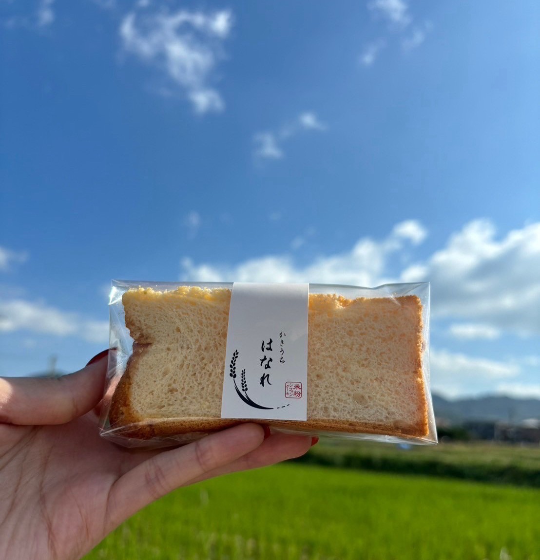 かきうちはなれ